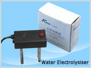 Water Electrolysiser